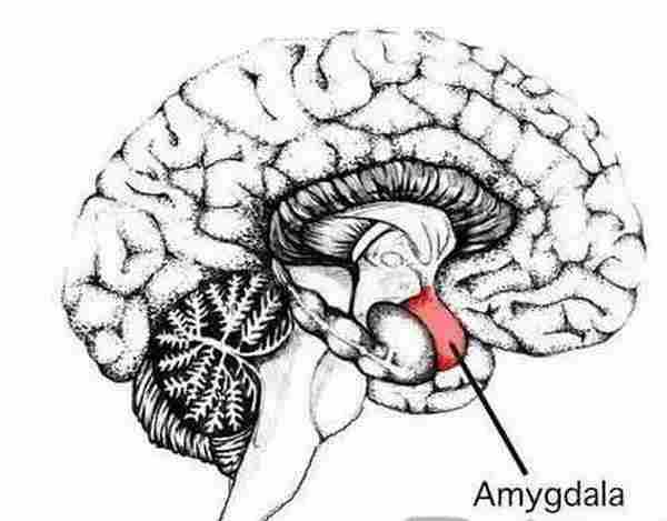 恐惧营销:如何科学地吓唬消费者