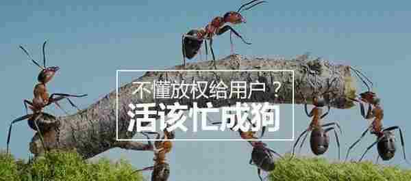 不懂放权给用户?活该忙成狗丨运营秘籍教你如何四两拨千斤!