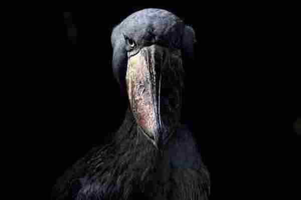 如何靠装X写出一篇关于“免费获取流量”的干货文章?