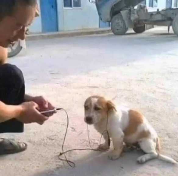 这个劳拉COS到了精髓 囧图 你丫可少看点色色吧!
