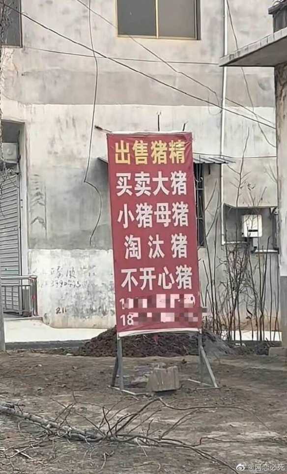 这个劳拉COS到了精髓 囧图 你丫可少看点色色吧!